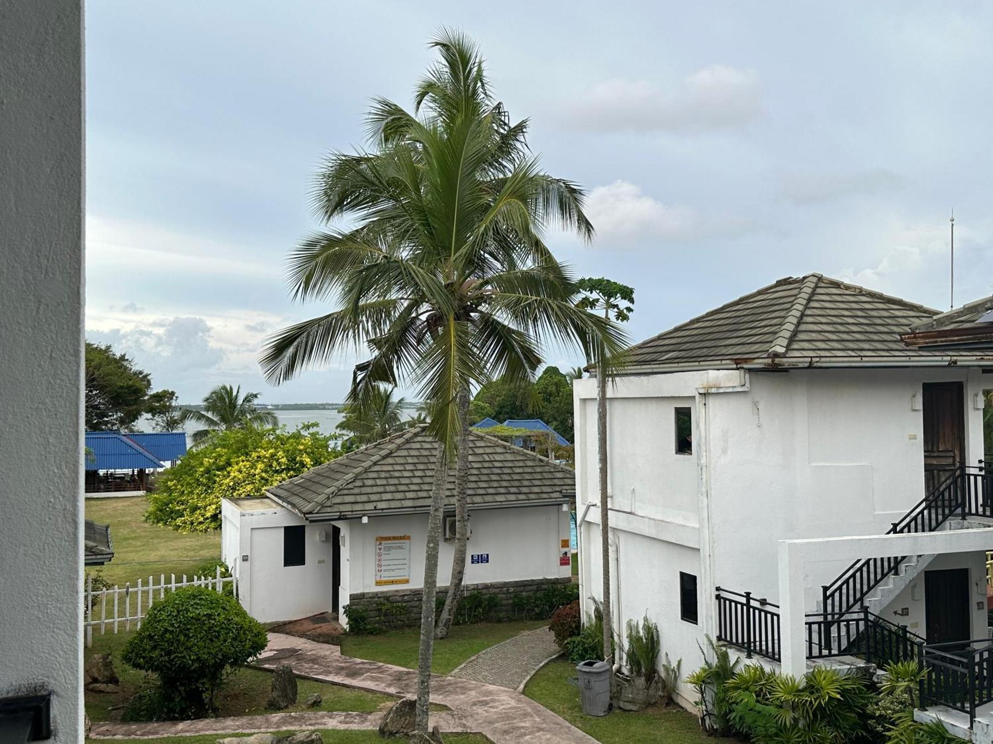 Amaluna Resorts Negombo Dış mekan fotoğraf