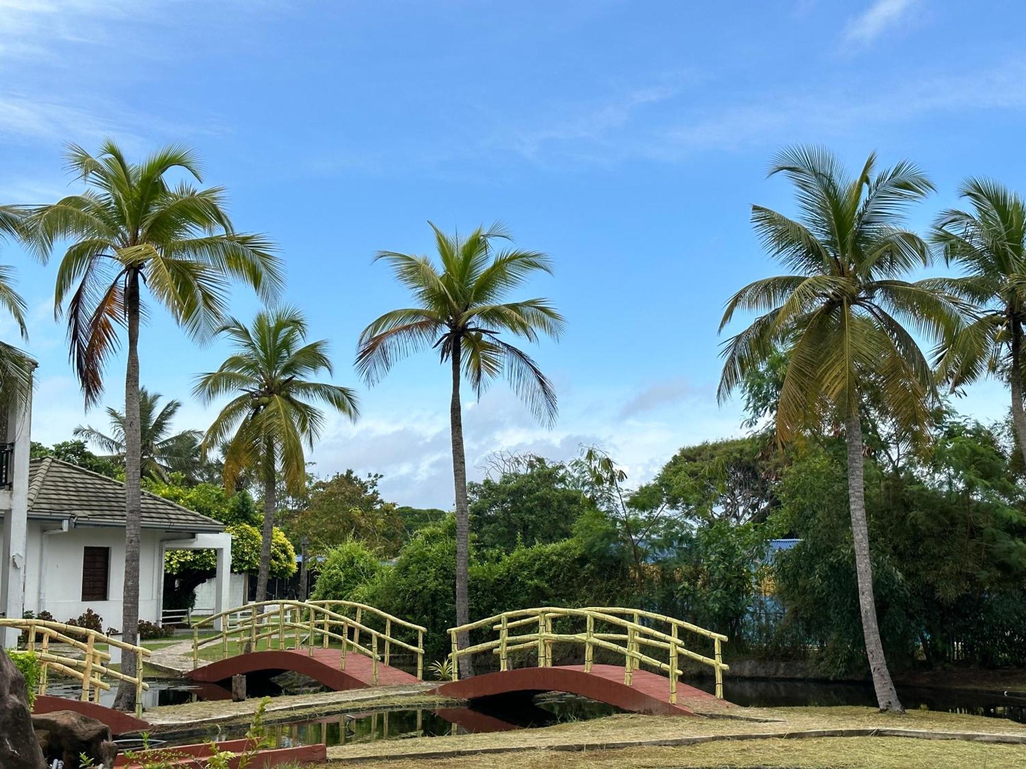 Amaluna Resorts Negombo Dış mekan fotoğraf